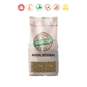 AVENA - 500GR.