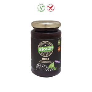 COMPOTA DE MORA - 265GR.