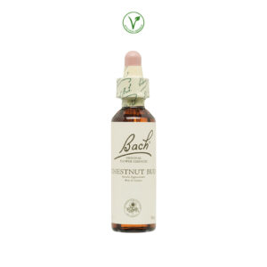 BACH (07) CHESTNUT BUD PERSON. APATICA - 20ML.