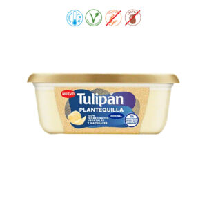 PLANTEQUILLA CON SAL - 200GR.