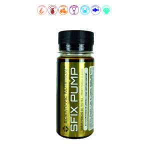 CAJA SFIX PUMP PREWORKOUT PONCHE FRUTAS - 12X60ML.