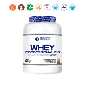 WHEY PROFESSIONAL 2.0 CHOCOLATE CON LECHE - 2KG