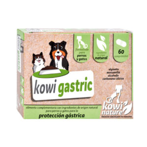 KOWI GASTRIC - 60 COMPRIMIDOS