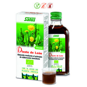 DIENTE DE LEON JUGO BIO - 200ML.
