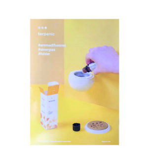 FOLDER TERPENIC AROMADIFUSORES SINERGIAS DINA4