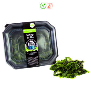 ALGA LECHUGA DE MAR FRESCA EN SAL - 200GR.